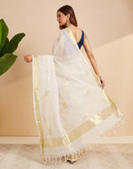 Natural Cotton Woven Wonders Blend Sari